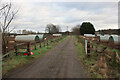 Outdoor pigs by Brandon Road