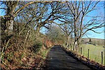 SD5988 : Old Scotch Road heading North towards Three Mile House by Chris Heaton