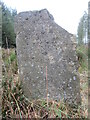 SE8995 : Boundary stone in Langdale Forest by T  Eyre