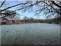 Playing fields - Hawley Primary School