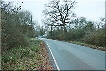 TL6102 : Chelmsford Road, Blackmore by David Howard
