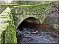 Southern portal of former mill culvert