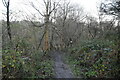 Blackley Forest Nature Reserve