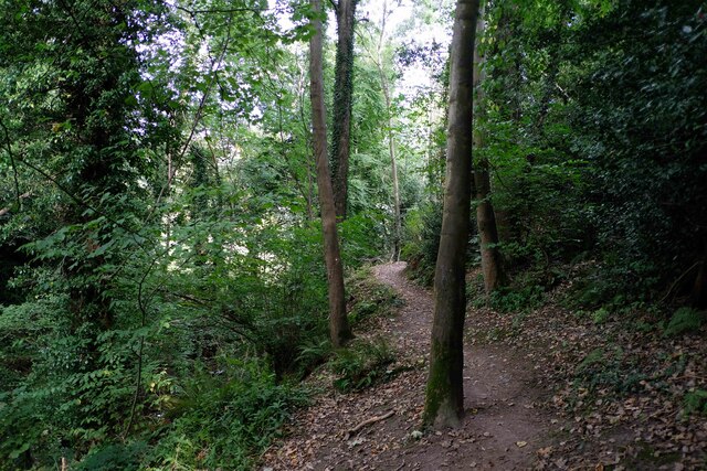 The Maelor Way at Pentre Wood