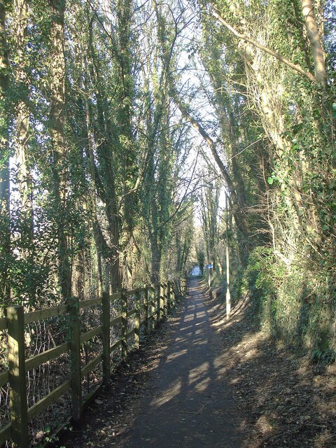 National Cycle Route 885 amid tall trees just outside Aberkenfig