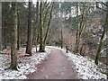 Clyde Walkway downstream from New Lanark