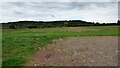 SO5942 : Field near Yarkhill by Sandy Gerrard