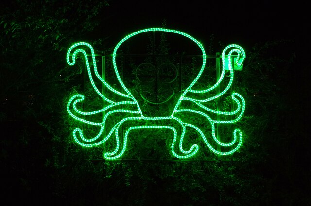 Christmas Lights 2022 - Octopus, Lion Hill, Stourport-on-Severn, Worcs
