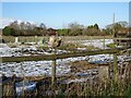 Palmers Cross Farm Path