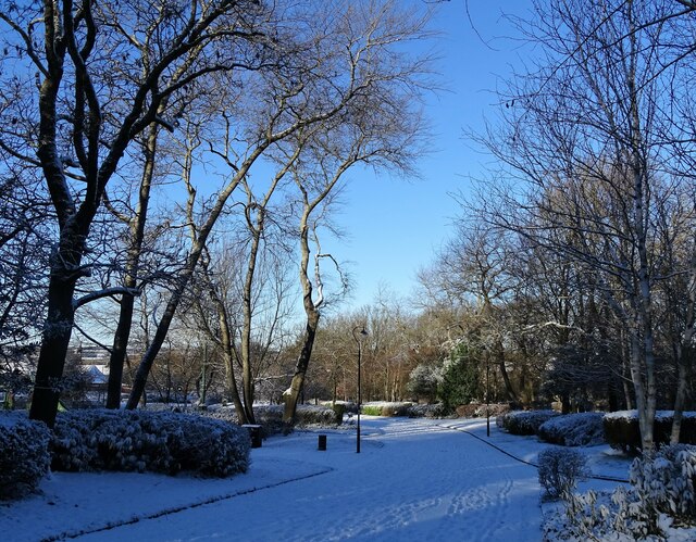 Snowy scene in the park