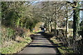 Ashley Road, approaching Bentworth