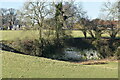 Disused chalk pit in field south of Bentworth