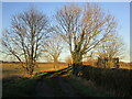 Footpath to Bradmore