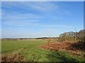 The Southwold railway line ran across this pasture