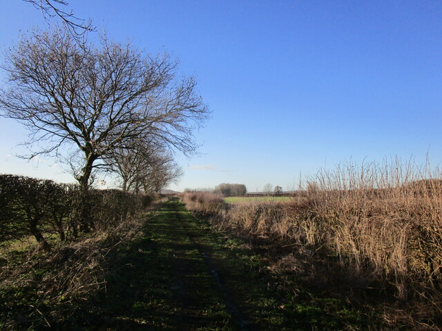 Bunny Moor, Rushcliffe - area information, map, walks and more