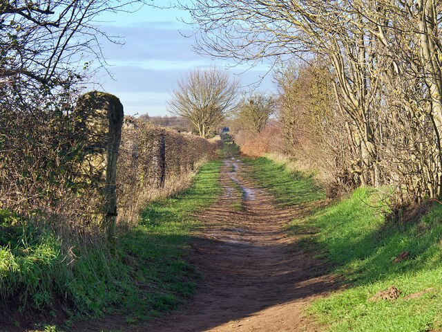 Hatfield Lane