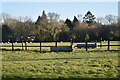 Water troughs in fields near Medstead Green