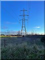 Electricity pylon off Hatfield Lane