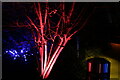 View of an illuminated tree in the Crossrail Place Roof Garden #2