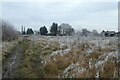 Monk Stray path and hoar frost