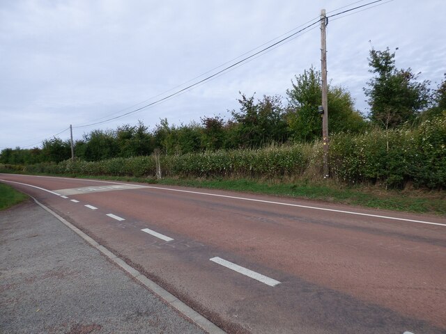 Hedgerow at Town's End