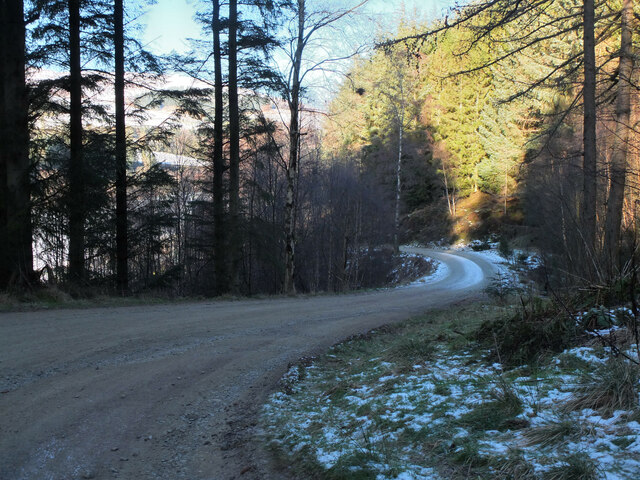 Forest road above Innerleithen golf course