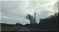 Old Milestone by the B3302, east of Huthnance