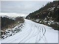 Forestry road in the Dyfi Forest