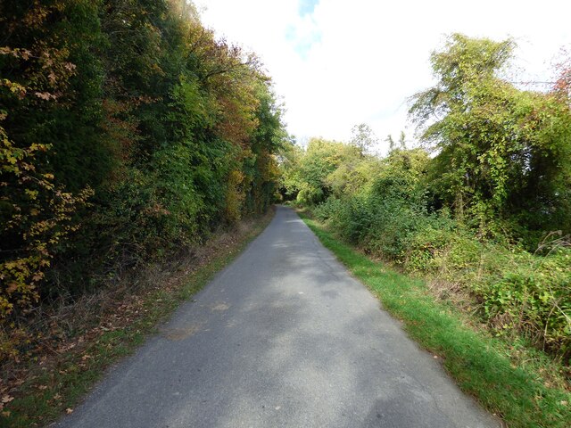 County Lane at Jones's Wood