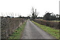 Track to Court Lodge Farm