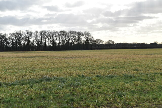 Arable land © N Chadwick :: Geograph Britain and Ireland