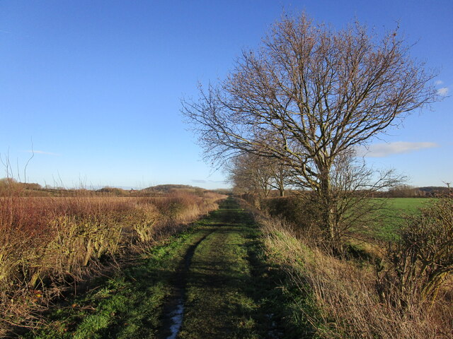 Moor Lane, Bradmore Moor