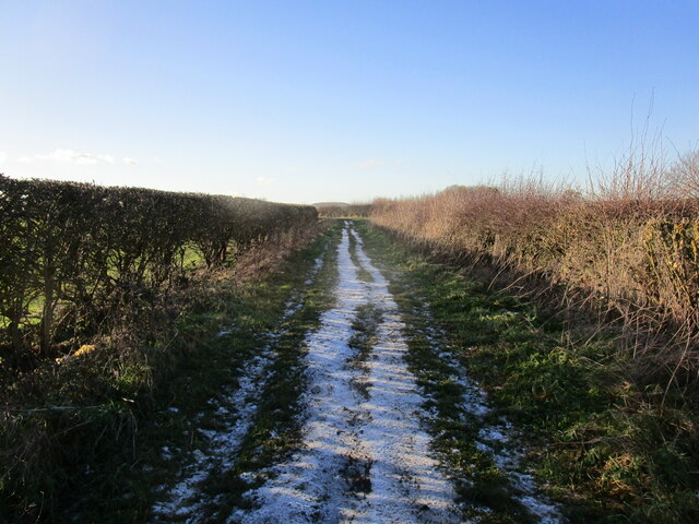Moor Lane, Bradmore Moor
