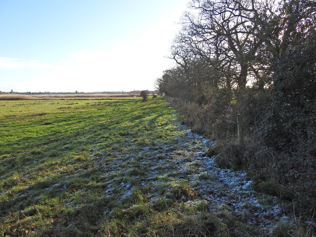 Looking back towards the farm