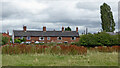 Rough pasture and housing near Hixon, Staffordshire