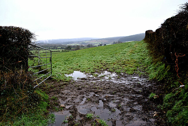 Muddy entrance to field, Tircur
