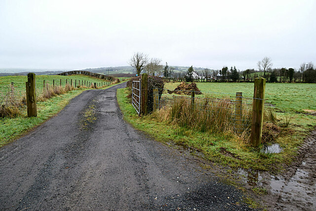 Lane to farm, Dunbreen