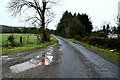 Puddles along Dunbreen View Road