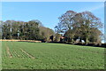 Sloping field below Hydes Cottages