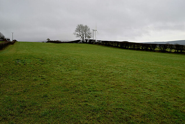 Large field, Dunbreen