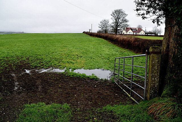 Muddy entrance to field, Dunbreen