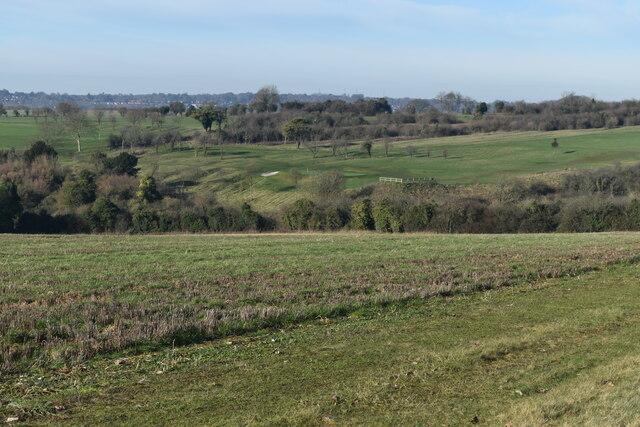 Downland view with a distant glimpse of Winchester