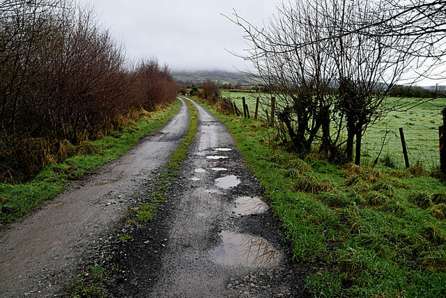 Potholes along a rough lane, Lisnaharney
