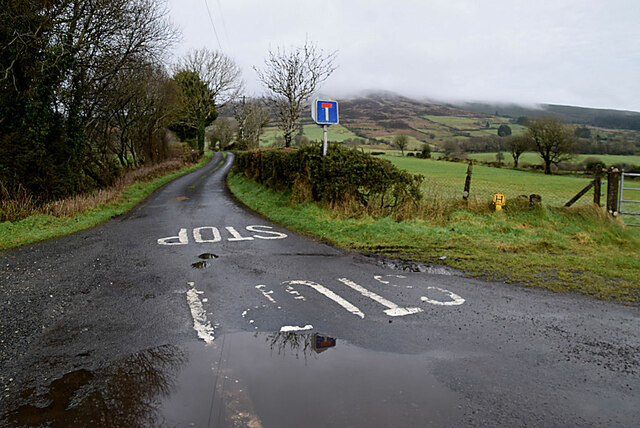 Dead-end road, Castleroddy Glebe
