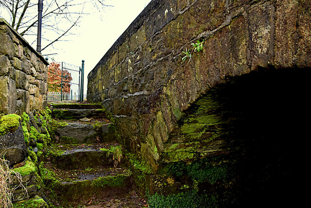 Steps along Cappagh Burn, Castleroddy Glebe