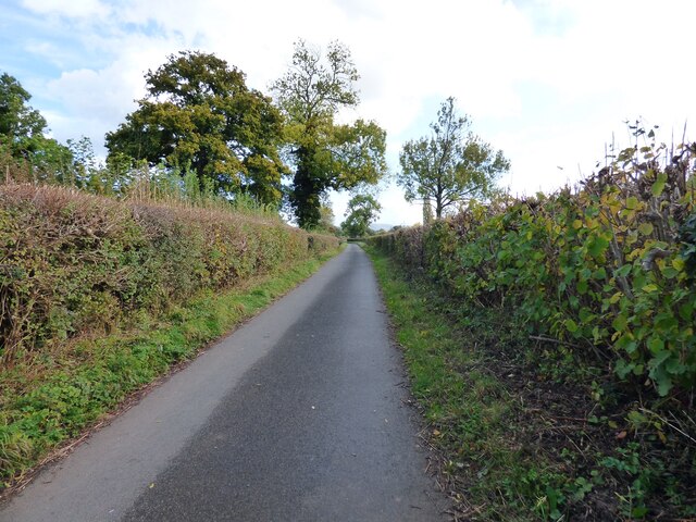 Country Lane near Catley Southfield
