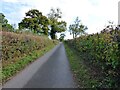 Country Lane near Catley Southfield