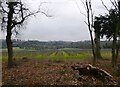 Farmland near Detling