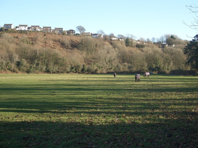 River meadow and woodland close to the north-western edge of Bridgend