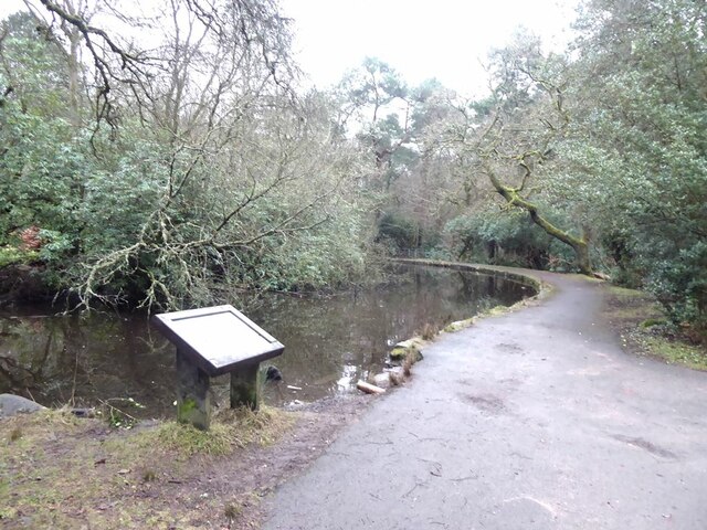 Pond in Pollok Country Park